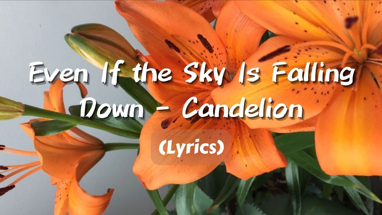 Even If the Sky Is Falling Down - Candelion【Lyrics】 - YouTube