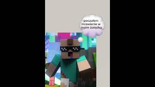 Bolo #shortvideo #edit #minecraft #fanpage #muzyka #bolo #palion #palionowo #kebab