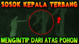  324- SOSOK KEPALA NGINTIP DARI POHON | UJI NYALI