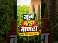 मूंग vs बाजरा 2026 | कौन देगा ज्यादा पैसा? | किसानों के लिए बड़ा फैसला!