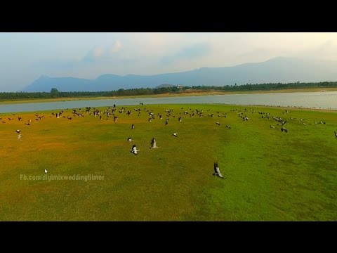 Chulliyar Dam video