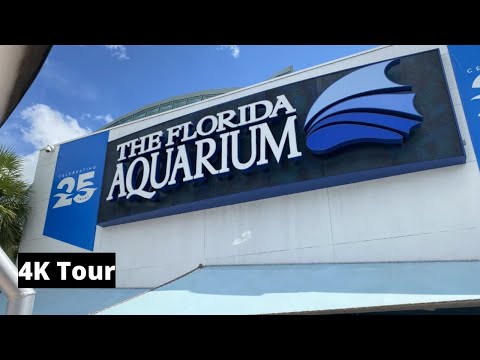 The Florida Aquarium - 4K Tour - Tampa, Florida