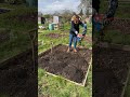 What Is Mulching Garden PlantandPause What Is Mulching Garden PlantandPause