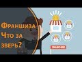 Франшиза. Сравнение бизнеса и франшизы