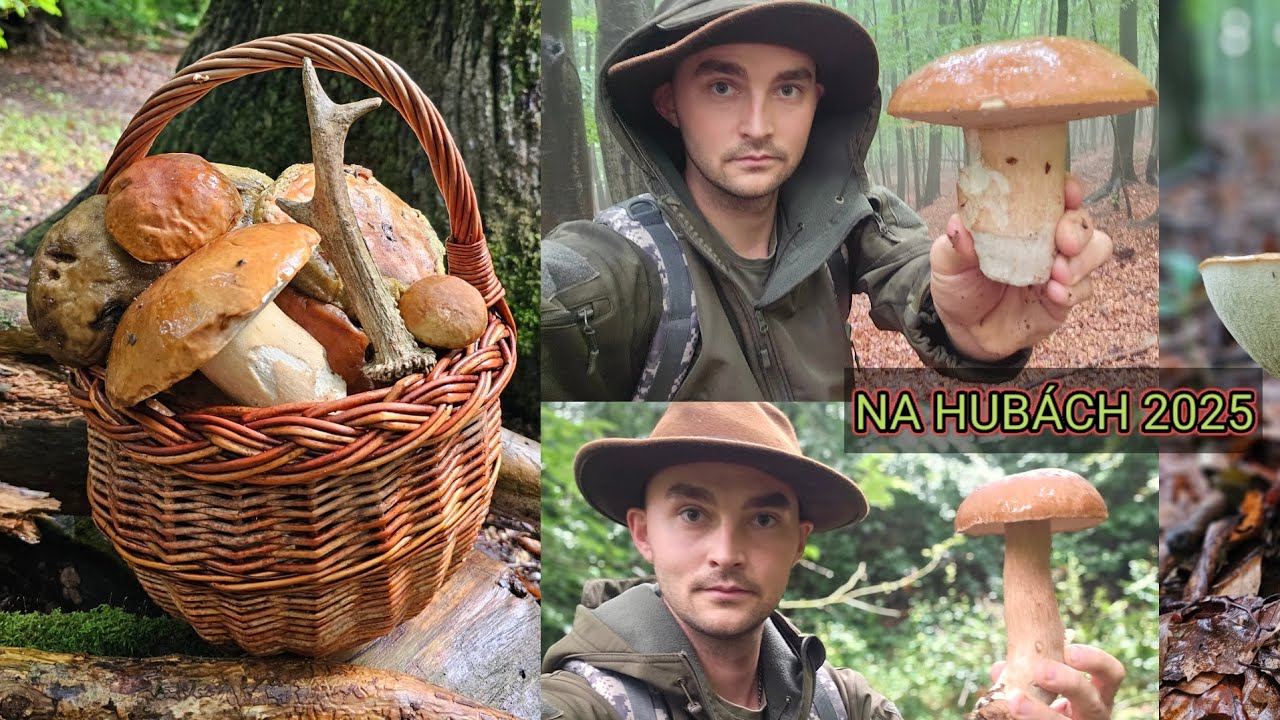 NA HUBÁCH 2025 - Časť 11. TOP DUBÁKY ! NAJKRAJŠIE ZDRAVÉ 