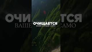 Намаз #мир #аллоху #религии #напоминание #субханаллах #пророк #цитаты #милост #врек #топ