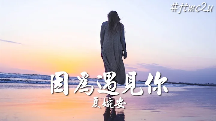 夏婉安 - 因為遇見你 (我跋山涉水踏過千里萬里 終於找到你 隱藏多少年的勇氣 只想說給你聽) 歌詞版 #jtmc2u - 天天要聞
