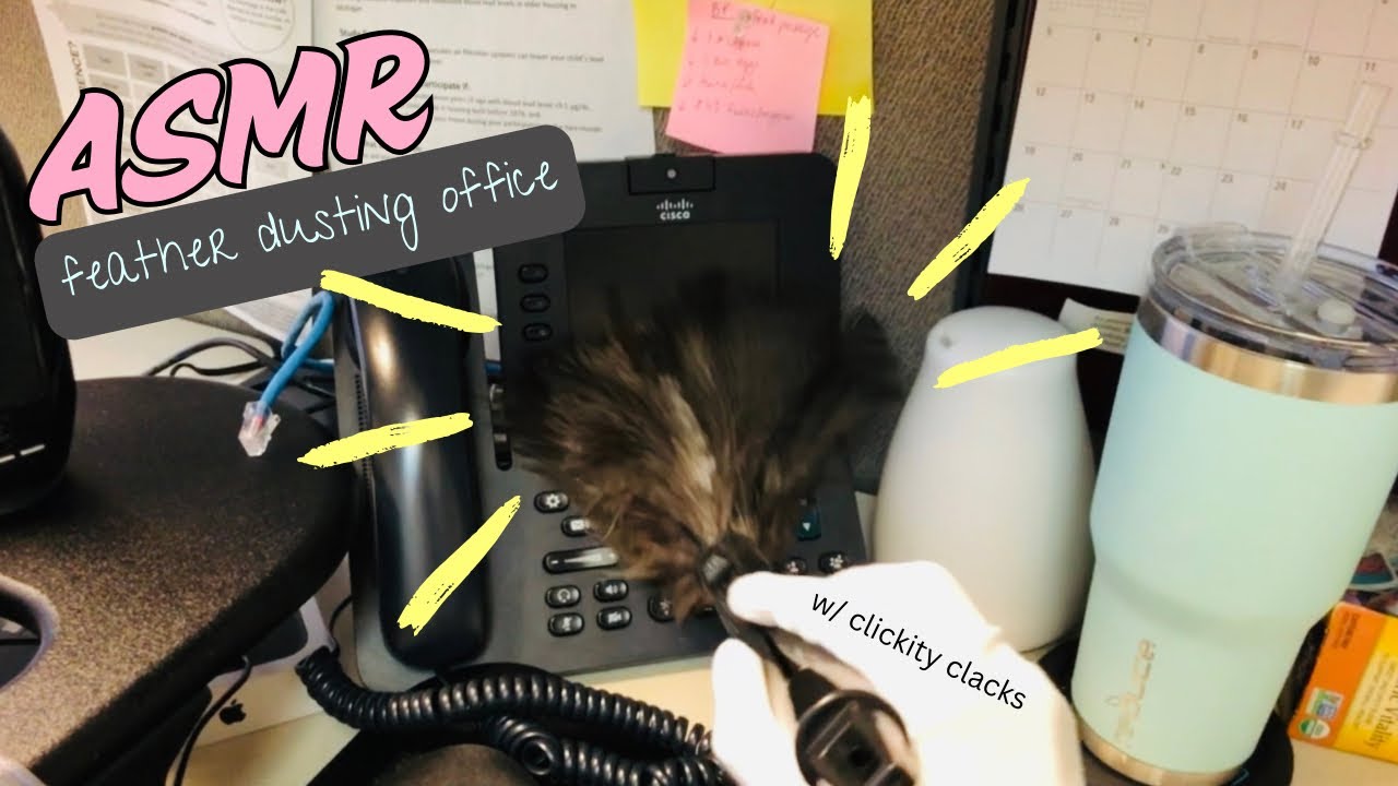 ASMR feather dusting office space surfaces. (no talking) 