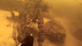 Podvodnaya Ohota1 360