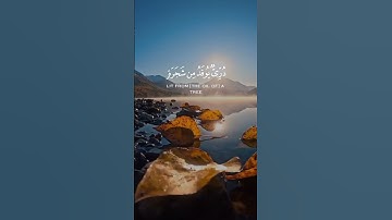 القرآن الكريم QuranKarim #راحة_نفسية #قرآن #اكسبلور #لايك #خشوع #تلاوة_خاشعة