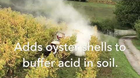 Our visit with Nicolas Joly, Godfather of biodynamie