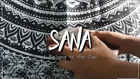 I Belong To The Zoo - SANA | Kalimba Cover