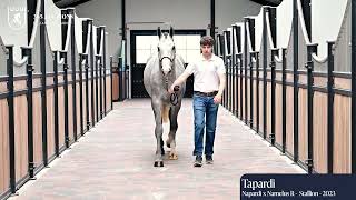 Tapardi