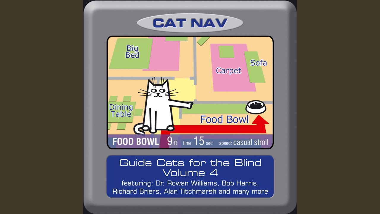 Why Don't They Write It on the Side?