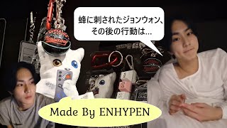 ENHYPEN YouTube gift 特典 ジョンウォン ENHYPEN YouTube gift 特典 ジョンウォン ENHYPEN ジョンウォン