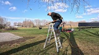 DIY Tree Trimming With A Cheap Corded Pole Saw by K6 Outdoors 211 views 5 months ago 8 minutes, 58 seconds