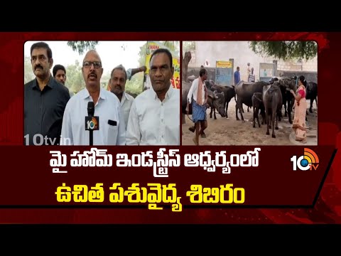 మై హోమ్ ఇండస్ట్రీస్ ఆధ్వర్యంలో ఉచిత పశువైద్య శిబిరం | My Home Group | Mattampally - 10TVNEWSTELUGU