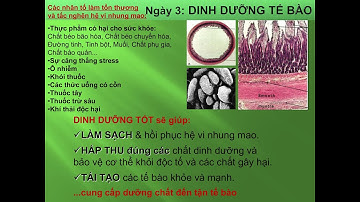 TALKING POINT BÀI 3 (ENGSUB)