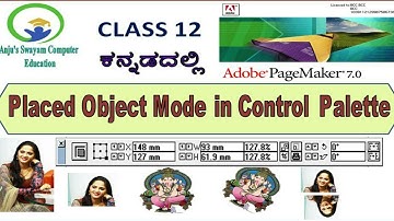 12. Placed Object Mode of Control Palette in PageMaker