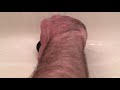 End of video