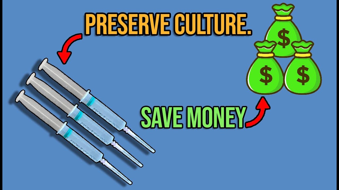 How To Turn 1cc Of Liquid Culture Syringe Into Unlimited Spawn.