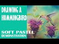 Drawing a Hummingbird - Wildlife Art Tutorial in Pastel with Rita Ginsberg