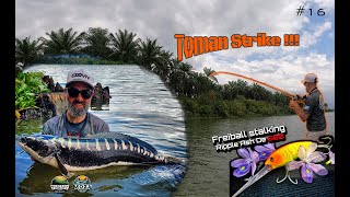 Horizonfishing - Malaysia : Tomanstrike #16