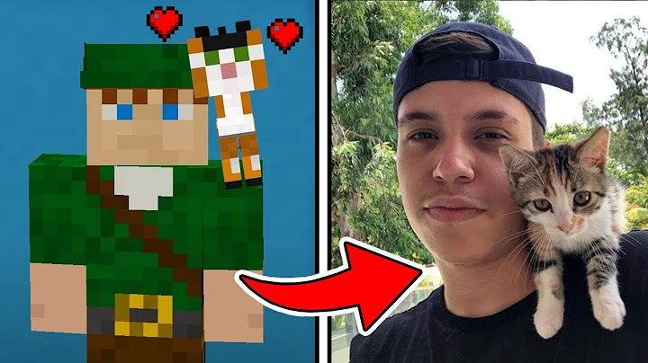 ADOTAMOS UM GATINHO DE RUA!! VIDA REAL VS MINECRAFT