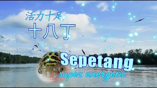Download Lagu 活力十足, Super Energetic, 十八丁 Sepetang,马来西亚. 美食美景. 4K, Sightseeing and Gourmet food. MP3 Download Lagu 活力十足, Super Energetic, 十八丁 Sepetang,马来西亚. 美食美景. 4K, Sightseeing and Gourmet food. MP3