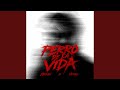 Perro De La Vida by Jorkan