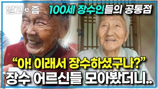 “평균연령 100세! 최고령 장수인 모음” 다 보고 나면 절로 알게 되는 장수 비결 │장수의 비밀 모아보기│알고e즘