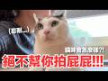 【好味小姐】絕不幫你拍屁屁！！！貓咪會怎麼樣？！｜好味貓日常270