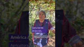 lConoce a historia de la parcela agroecológica Santa Matilde