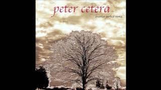 Peter Cetera - Feels Like Rain (2001)