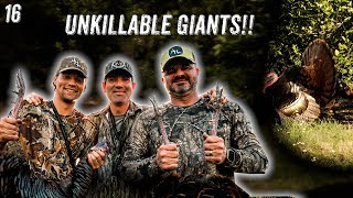 TURKEY HUNTING in a BARN?!  |  HOW TO PATTERN SILENT GOBBLERS