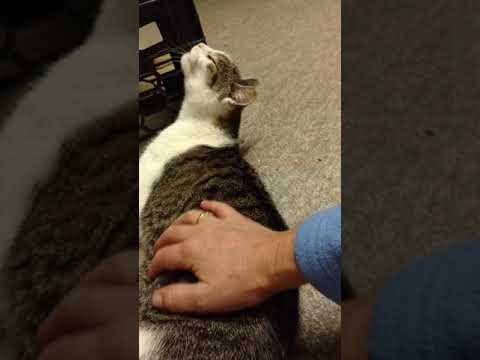 Peanut - YouTube
