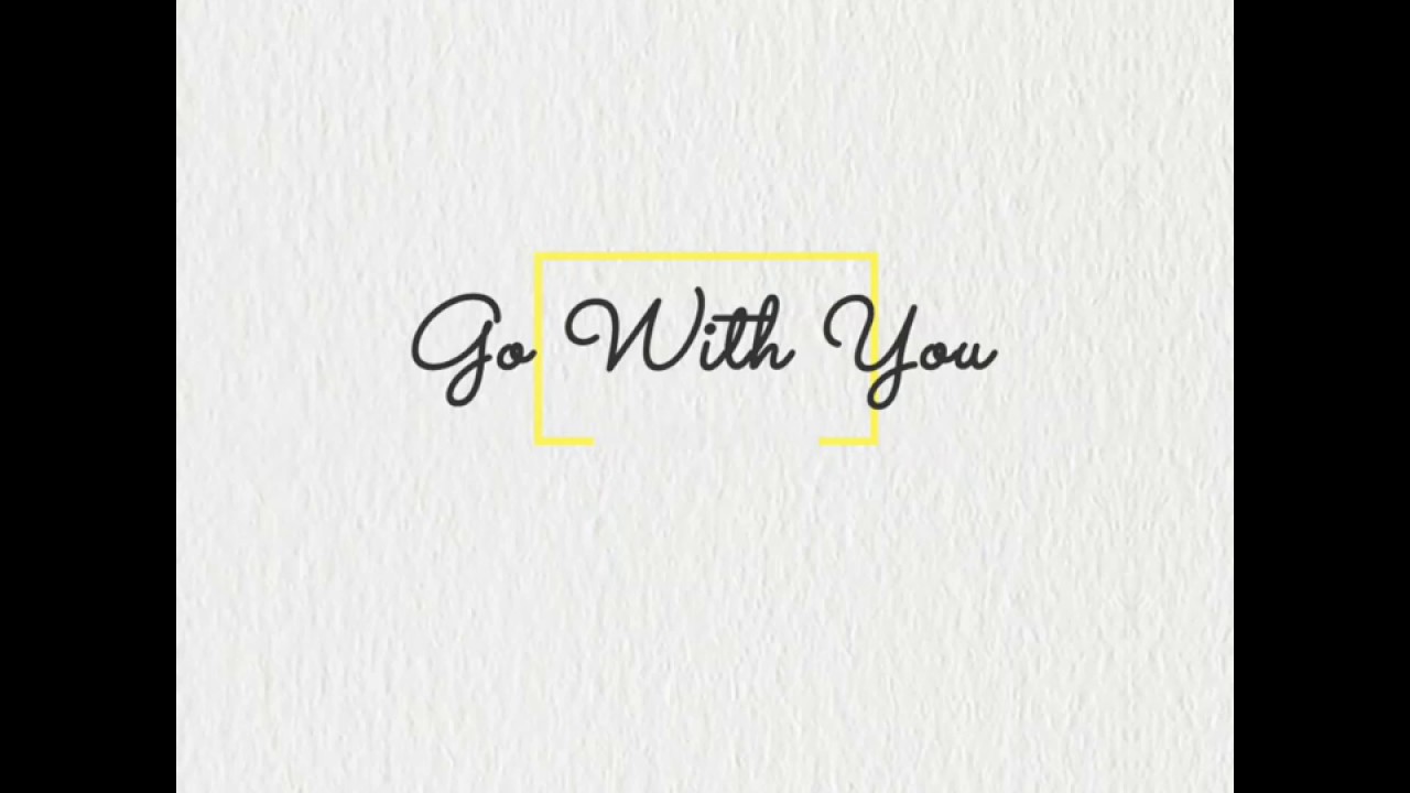 Pro Dog Training in Houston Tx