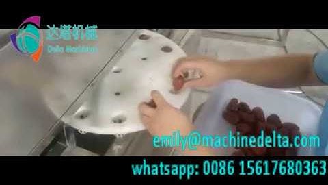 Red date stoner , pitter, pitting machine, pitting equipment
