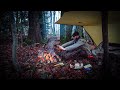 Trois jours seul dans les bois le film muet bivouac cuisine au feu au bois bushcraft vie sauvage