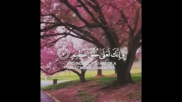 ن والقلم وما يسطرون 🌹 سالم الرويلي حالات واتس اب دينية قصيرة مؤثرة قرآن كريم تلاوة خاشعة انستا
