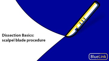 Dissection Basics | Scalpel Blade Procedure