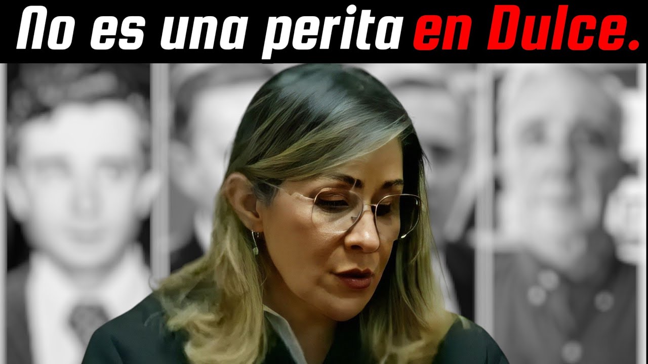 Expedientes ocultos de la Jueza Sandra Heredia, y su lado oscuro, Documental.