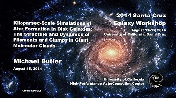 Kiloparsec-Scale Simulations of Star Formation in Disk Galaxies - Michael Butler