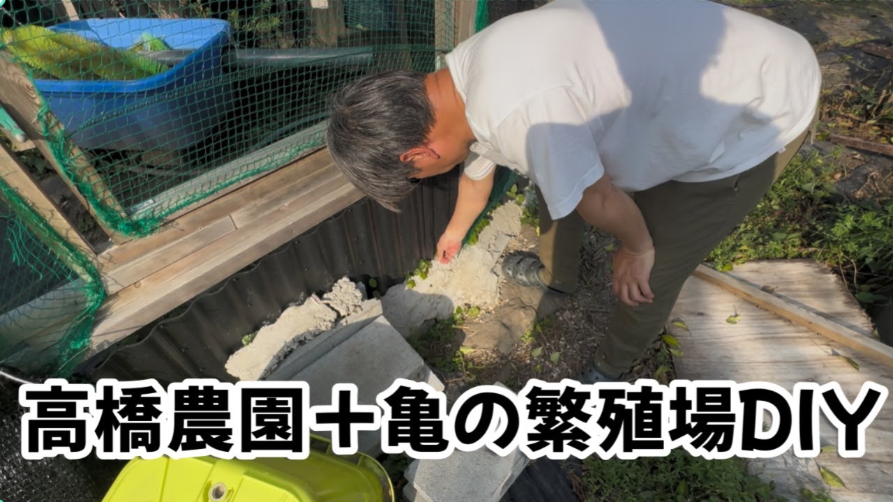 ハコガメ繁殖場＋家庭菜園農場DIY