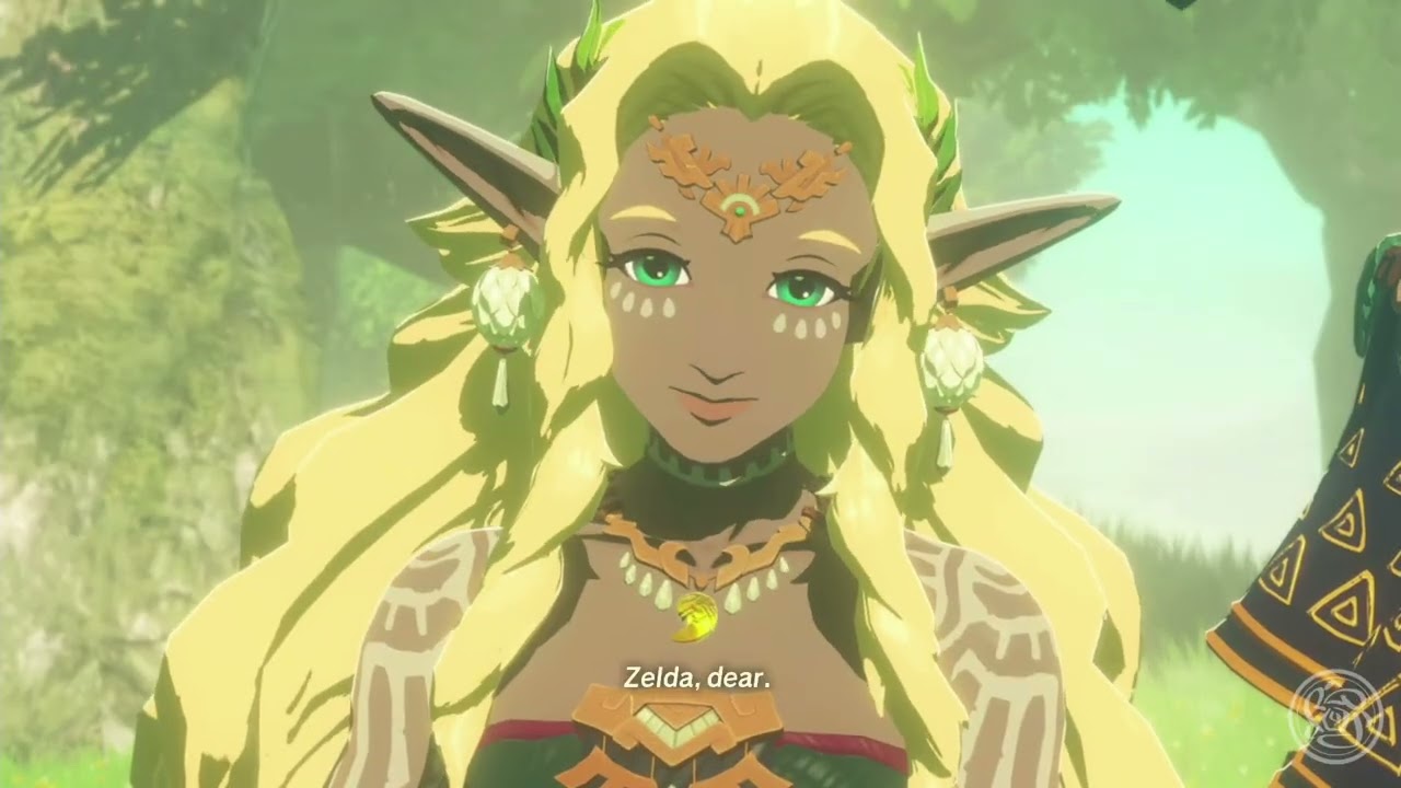 Hyrule Warriors: Age of Imprisonment - Playthrough, No commentary (Part 1)