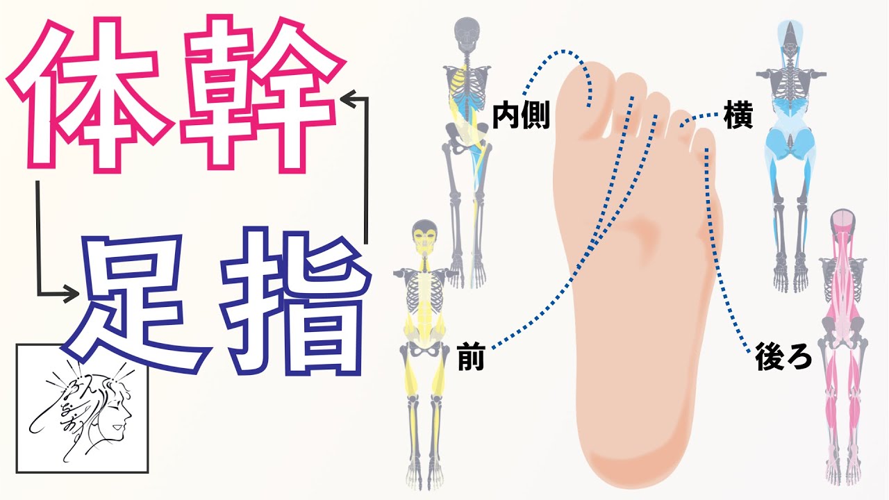 体幹強化に【足指が大事】である意外な理由｜東洋医学的な見方
