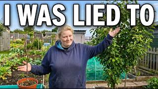 Britain's £7 Supermarket Fruit Trees: Scam or Secret Goldmine?