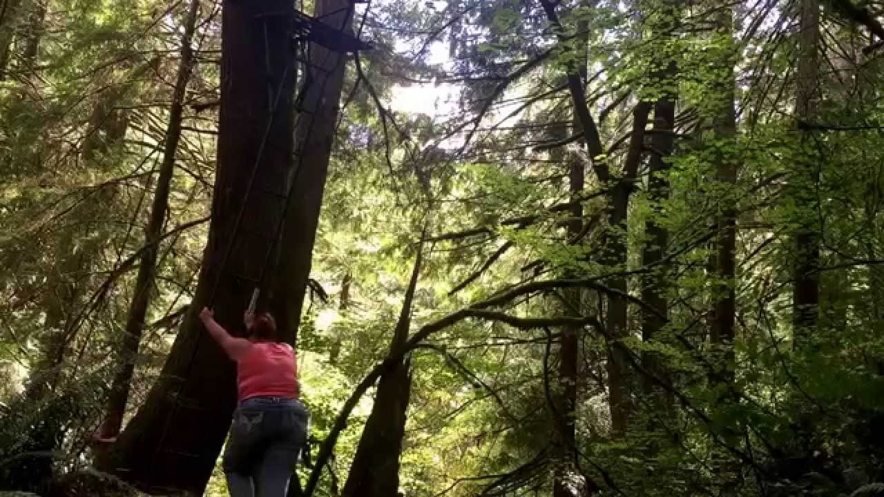 Putting Up A Two Man Tree Stand YouTube
