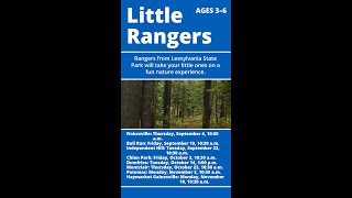 This Week at PWPL: September 1–7, 2025