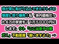【スカッとする話】我が家に転がり込んできたウトメの態度に怒り爆発！私「身内価格だった６万の家賃を１１万５０００円にします」ウト「ここは息子の家だ！」不動産屋「違いますよ？」→【スカッと実話ジャパン】